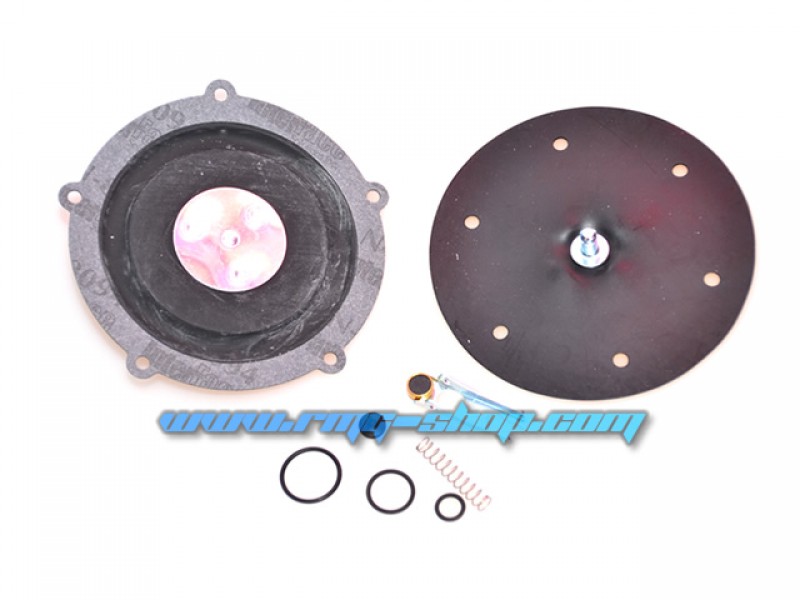 LANDI RENZO EC04 MEMBRANE REPAIR KIT (GENUINE)