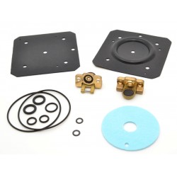 LANDI RENZO IG1 MEMBRANE REPAIR KIT (GENUINE)