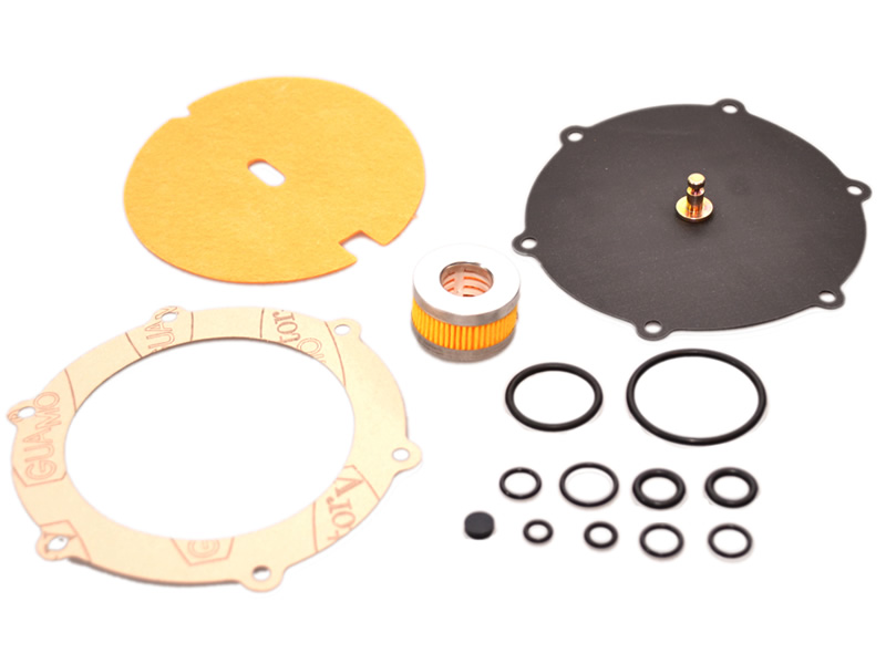 LANDI RENZO LI10 MEMBRANE REPAIR KIT