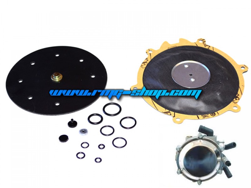 LO GAS RL-ONE MEMBRANE REPAIR KIT