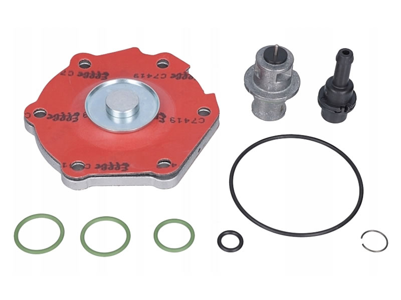 LOVATO RGJ 3DD / 3.2L DD MEMBRANE REPAIR KIT (GENUINE)