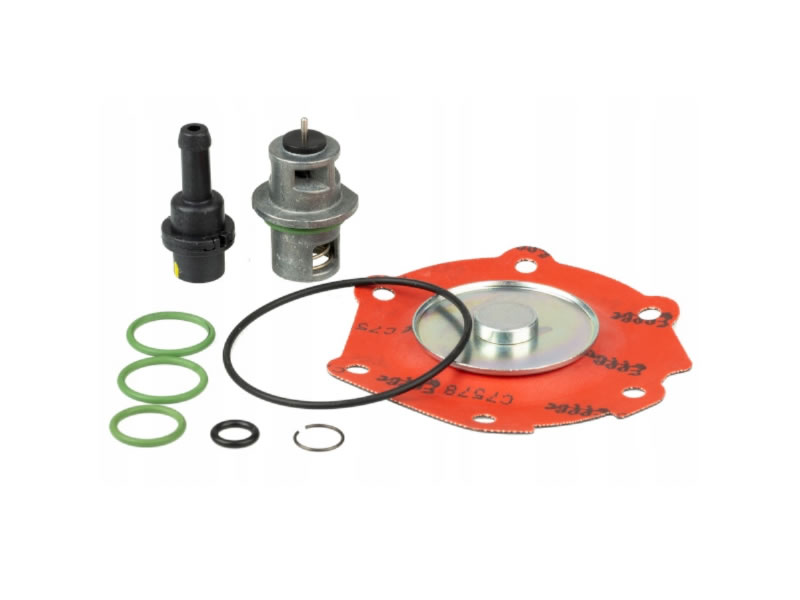 LOVATO RGJ-3.2 TYPE B MEMBRANE REPAIR KIT (GENUINE)