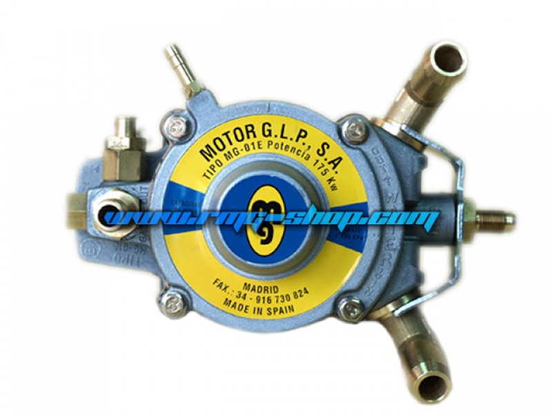 MOTOR GAS MG01E MEMBRANE REPAIR KIT 
