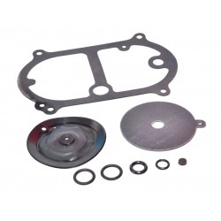 OMVL DREAM XXI-N MEMBRANE REPAIR KIT