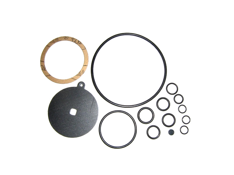 REG / OMVL CPR MEMBRANE REPAIR KIT 