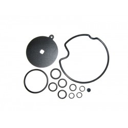 REG / OMVL CPR MEMBRANE REPAIR KIT 