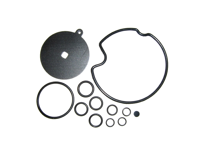 REG / OMVL CPR MEMBRANE REPAIR KIT 