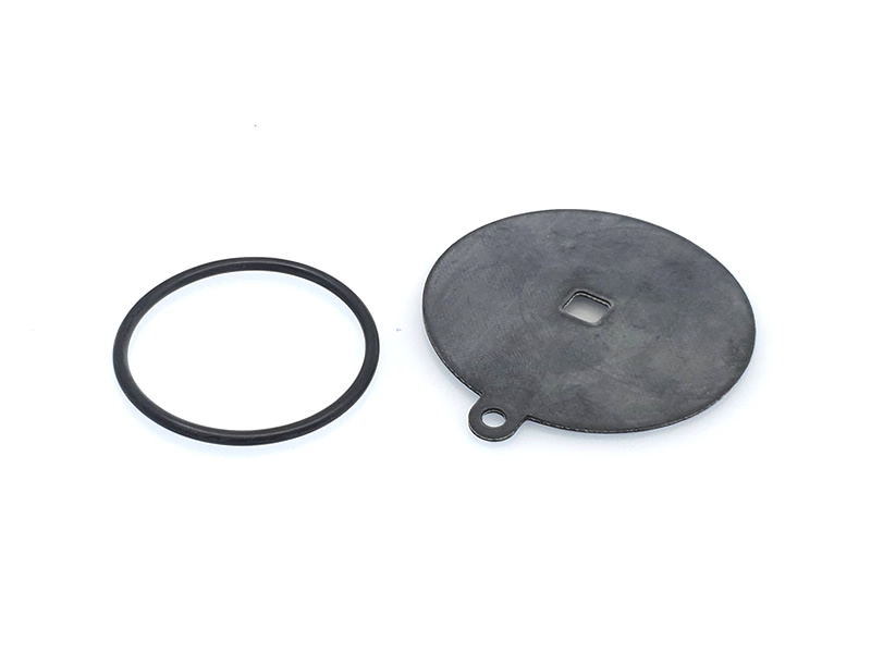 REG / OMVL CPR MEMBRANE REPAIR KIT (GENUINE)