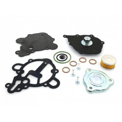 TOMASETTO AT09 ALASKA MEMBRANE REPAIR KIT