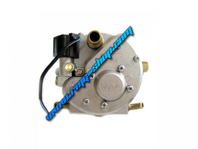 BIGAS M20 MEMBRANE REPAIR KIT 