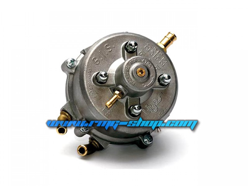 BIGAS RI21 MEMBRANE REPAIR KIT 