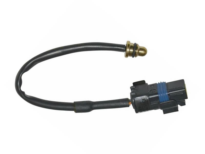 AEB 369INJ GAS TEMPERATURE SENSOR FOR AEB EVO RAIL