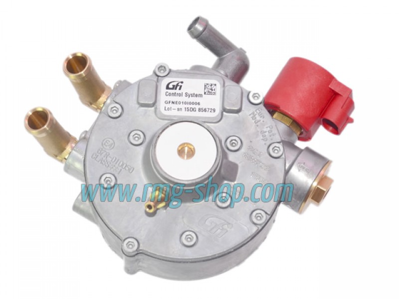 GFI AG SGI LPG FILTER (GENUINE)