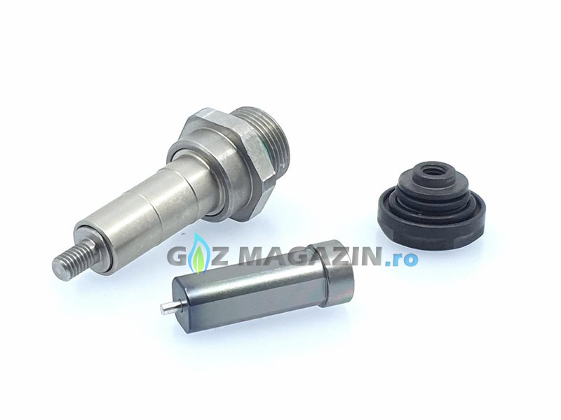 LANDI RENZO LI10 PISTON & CYLINDER