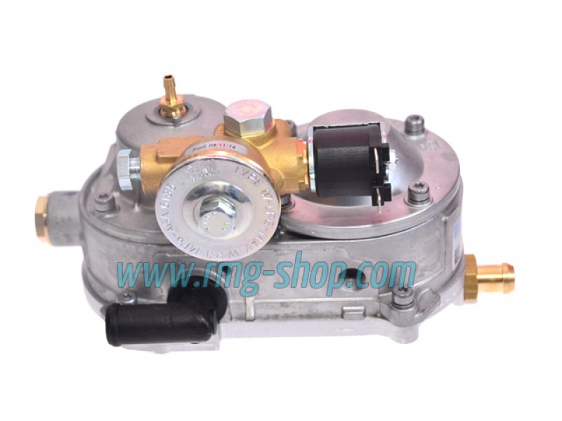 OVERHAULING KIT FOR VALTEK, PRINS, ZAVOLI, EMMA GAS, OMVL, MILANO (FIBER GLASS)