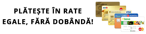 Rate egale fara dobanda